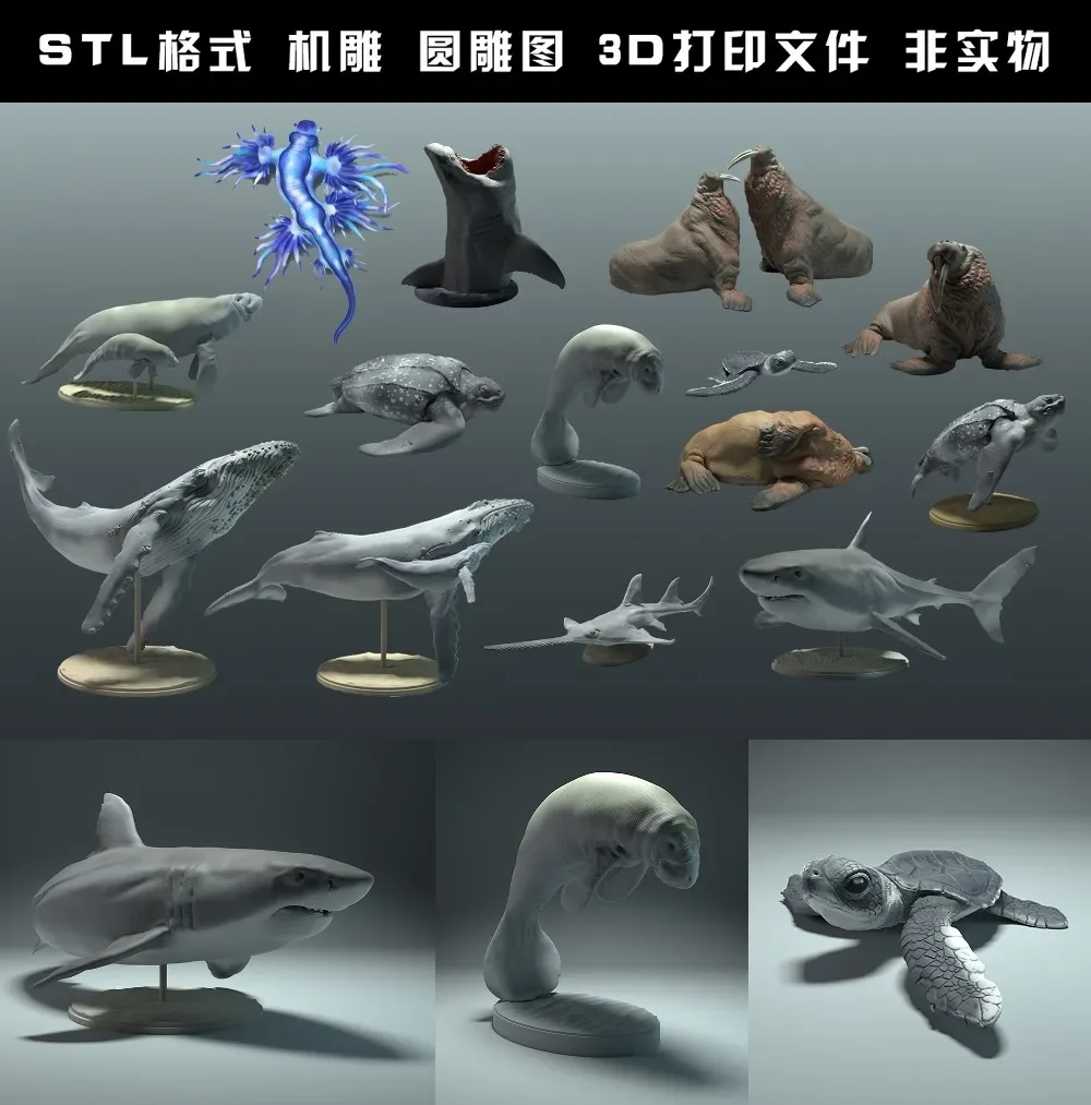 Círculo carving stl arquivo pa - 3D Printing File avaliação e preço